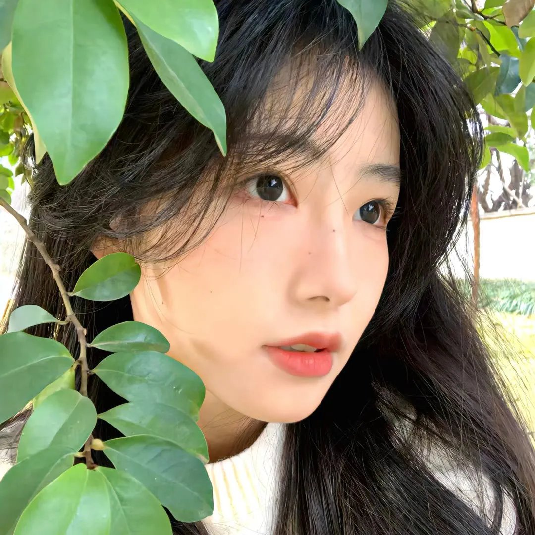 莲花楼